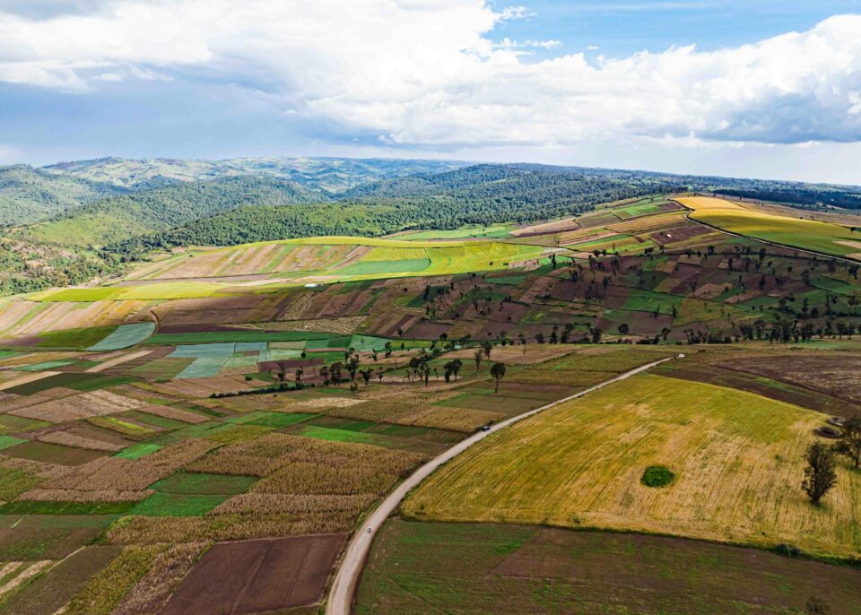 Aerial view of a landscape with patchwork fields in various shades of green and brown, intersected by a winding dirt road, with hills and forests in the background.